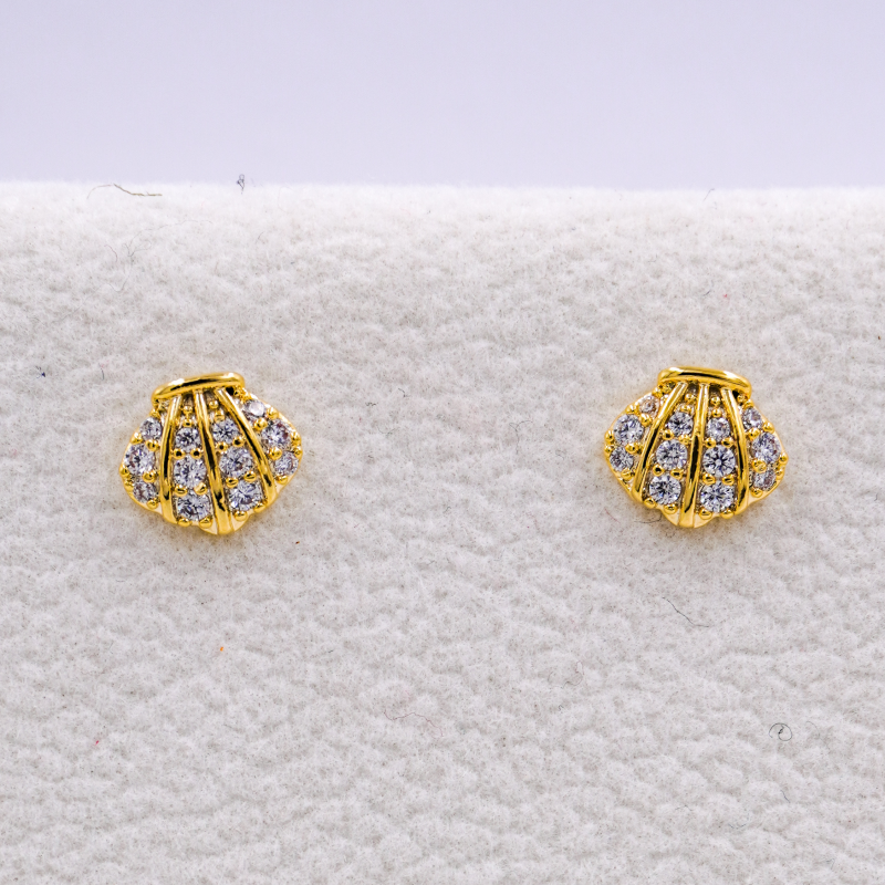 arete topo concha de mar x par