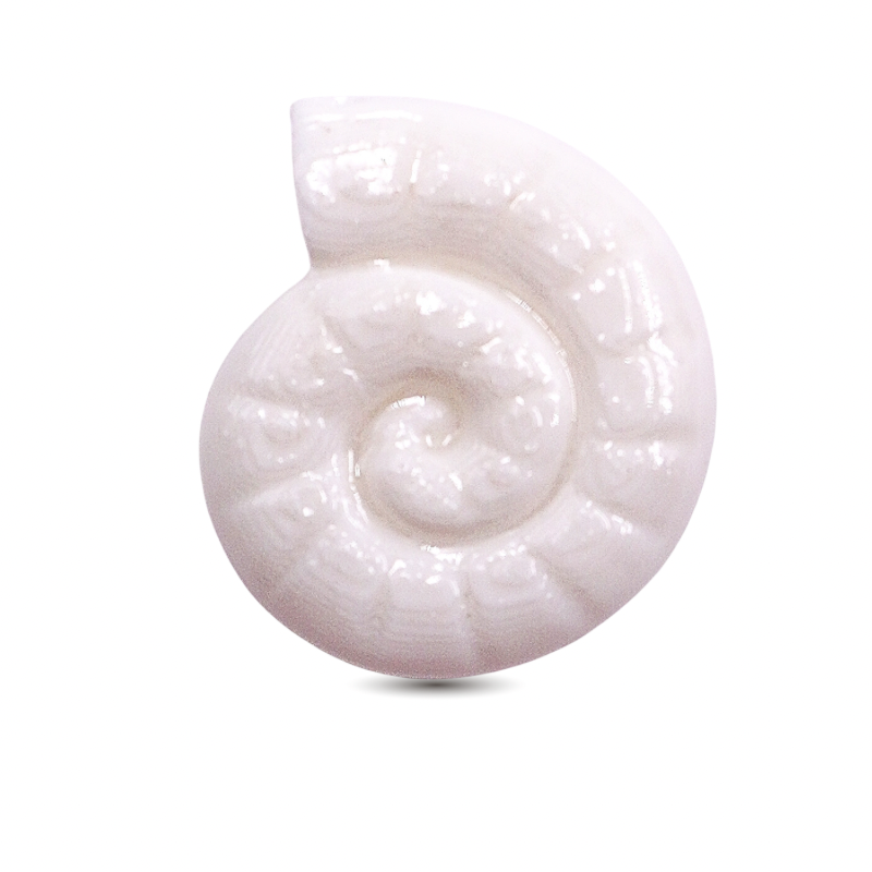 dije caracol blanco x unidad
