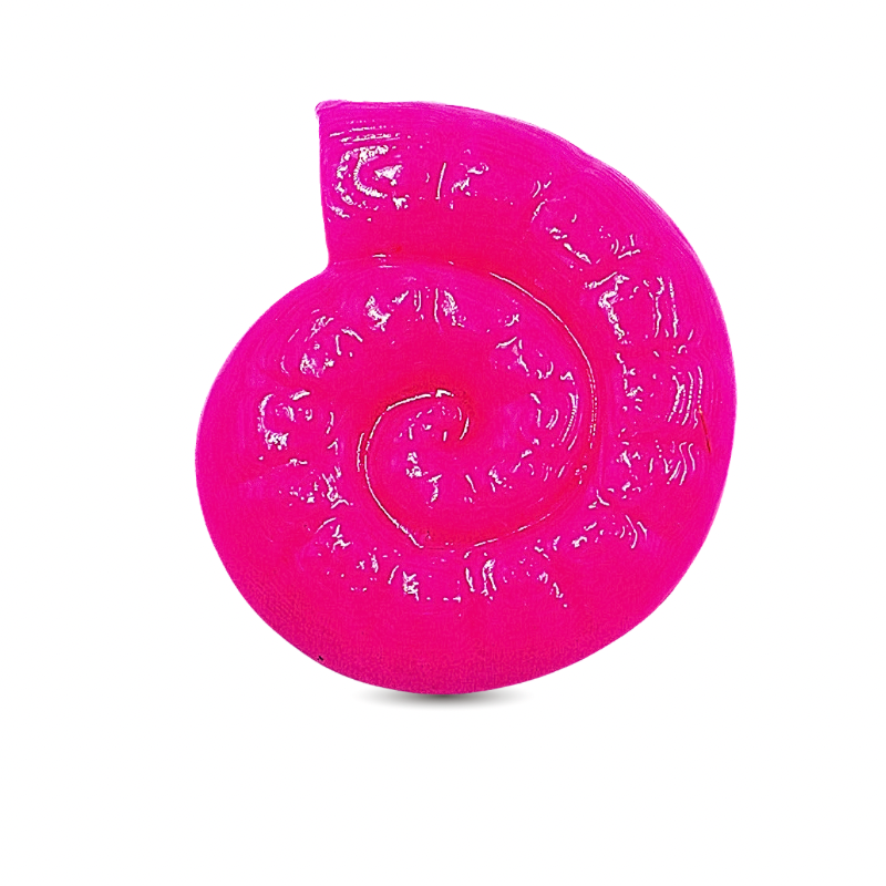 dije caracol fucsia x unidad