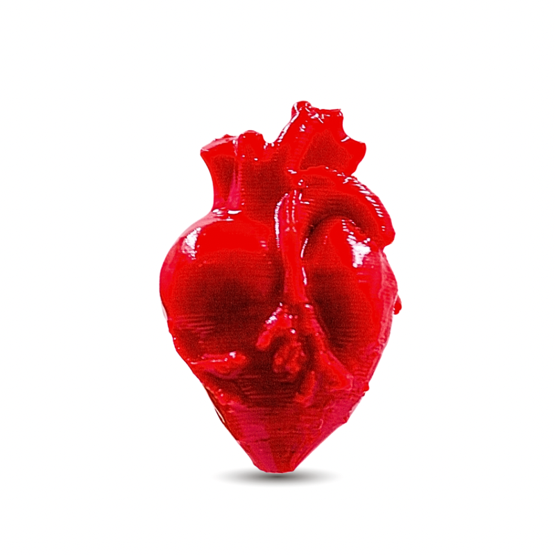 dije corazon anatomico...