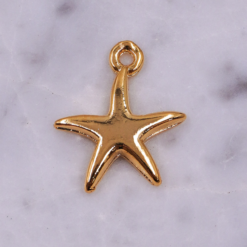 Dije de estrella de mar en...