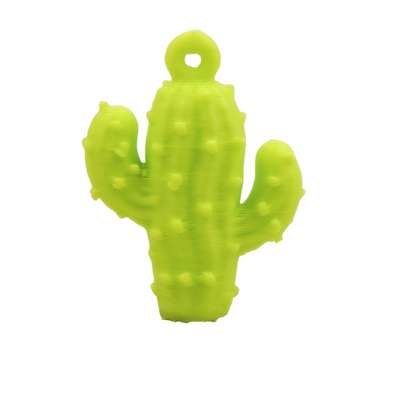 dije cactus pequeño verde...
